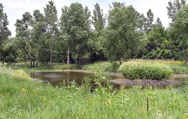 Retired farmer showing gardeners his private park on conservation