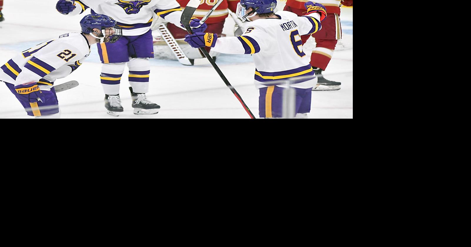 MSU men's hockey roster taking shape Local Sports