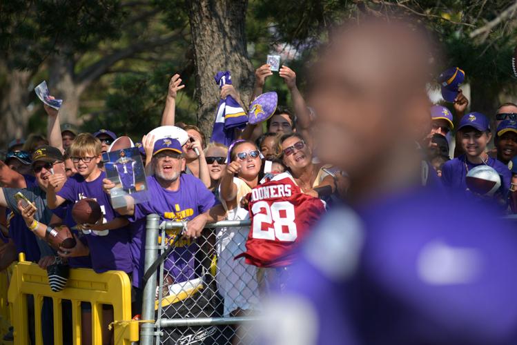 2016-Vikings fans Peterson