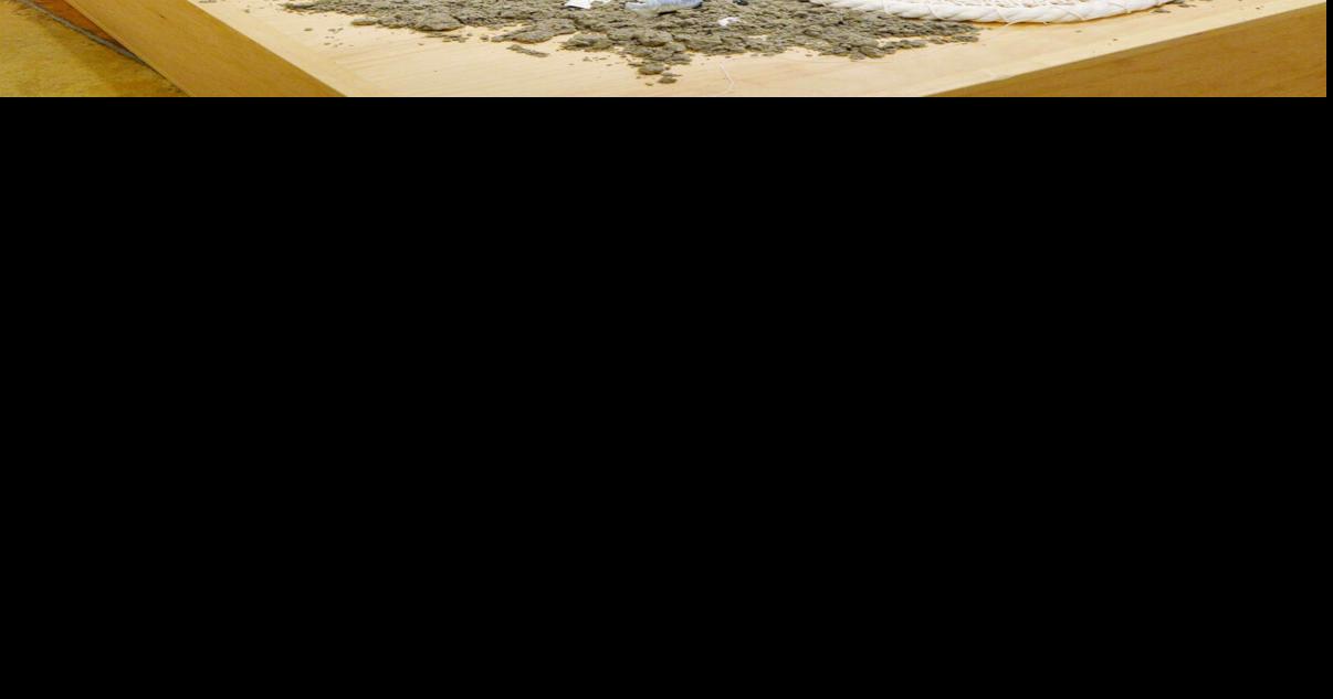 College seniors displaying their art, projects