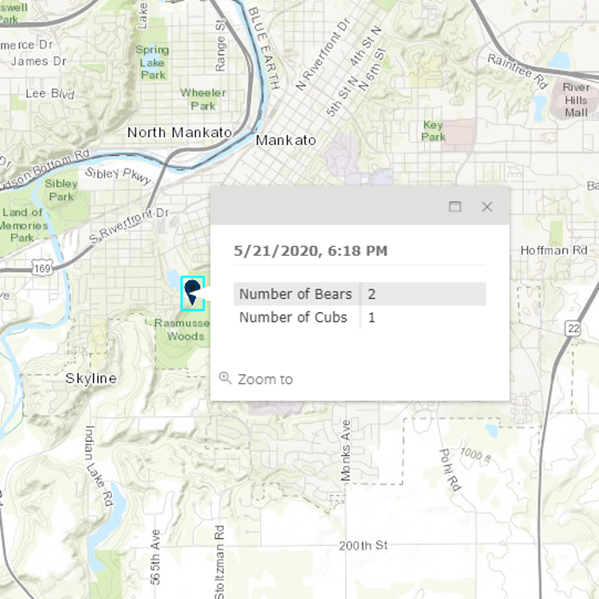 Bear Ly Any 2020 Bear Sightings In Mankato Area Local News Mankatofreepress Com Michigan Bear Sightings Map 2022