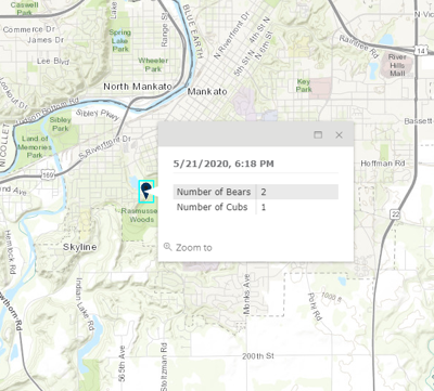 Michigan Bear Sightings Map 2022