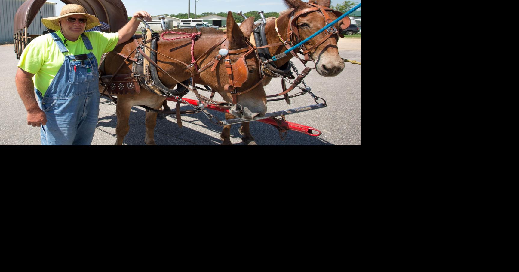 Le Sueur County Sheriff's Mounted Posse rides old tradition forward