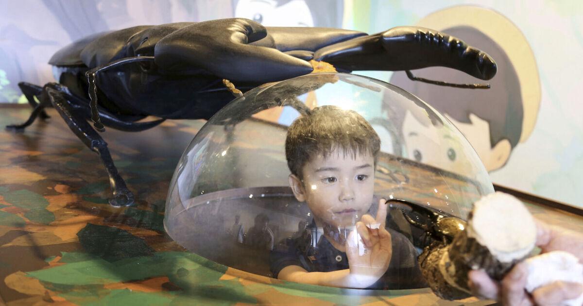 Bugs are very popular pets in nature-loving Japan