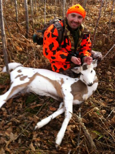 White Spotted Deer Shot Archives Mankatofreepress Com