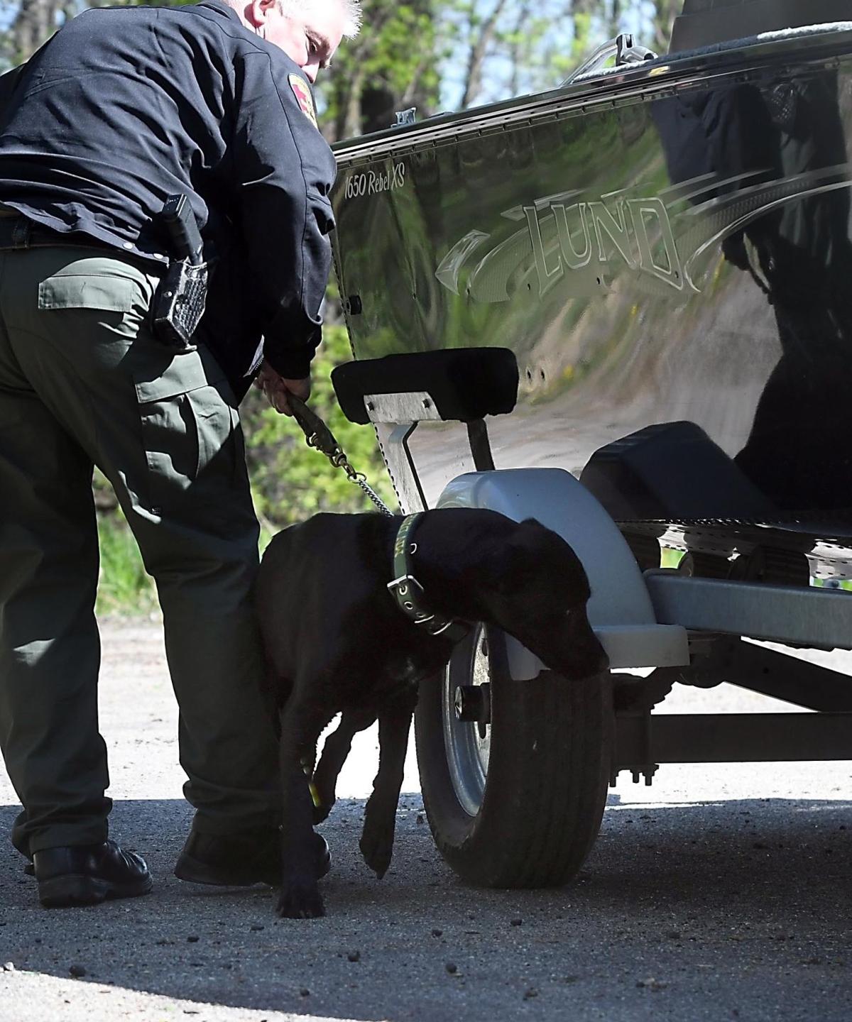 Musselsniffing dogs are DNR's newest weapon in invasive species fight