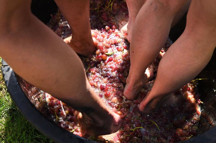 Stompin' around: Morgan Creek celebrates fall with annual ...