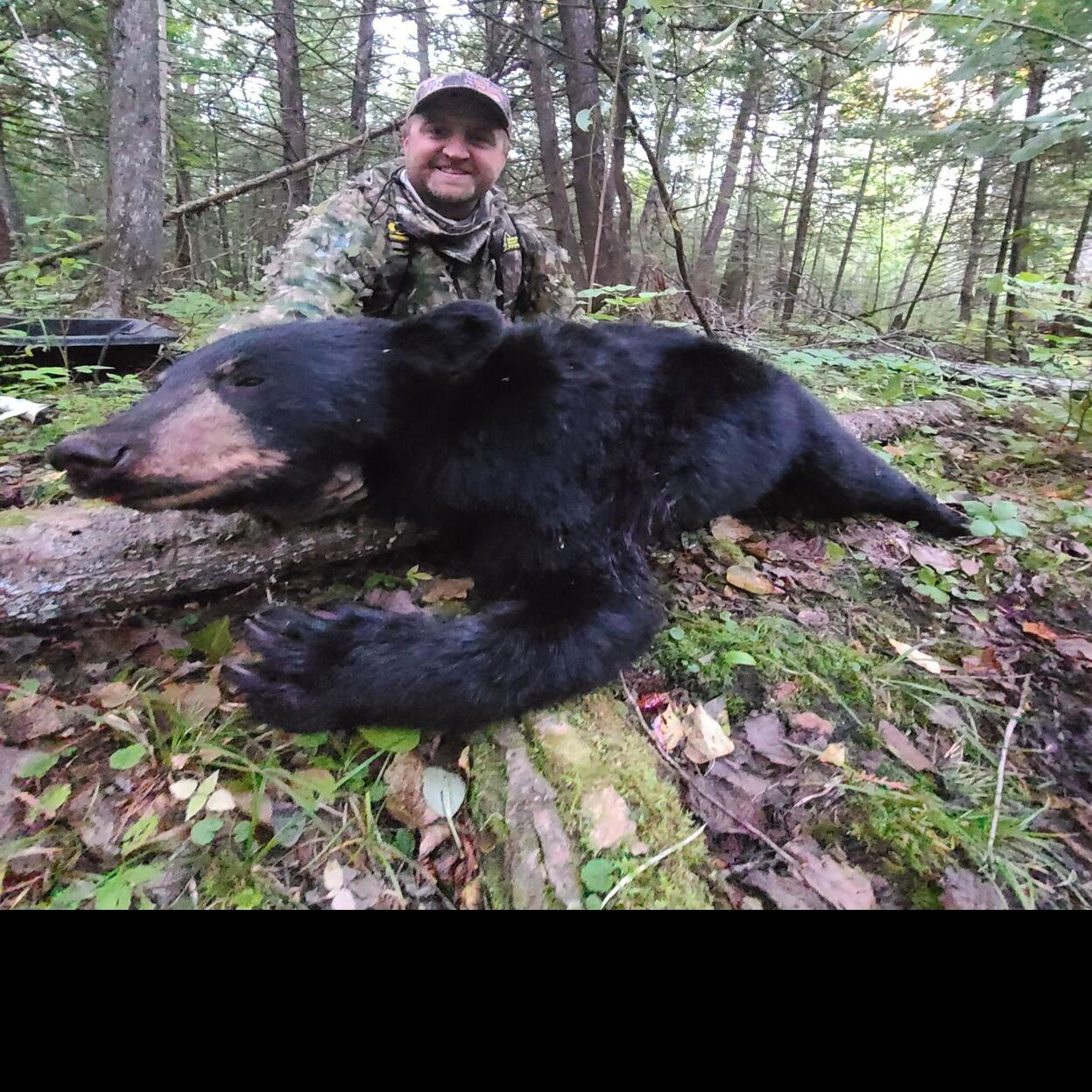Mackenthun Guide Makes Northern Minnesota Bear Hunt Easier More Fun Local Sports Mankatofreepress Com
