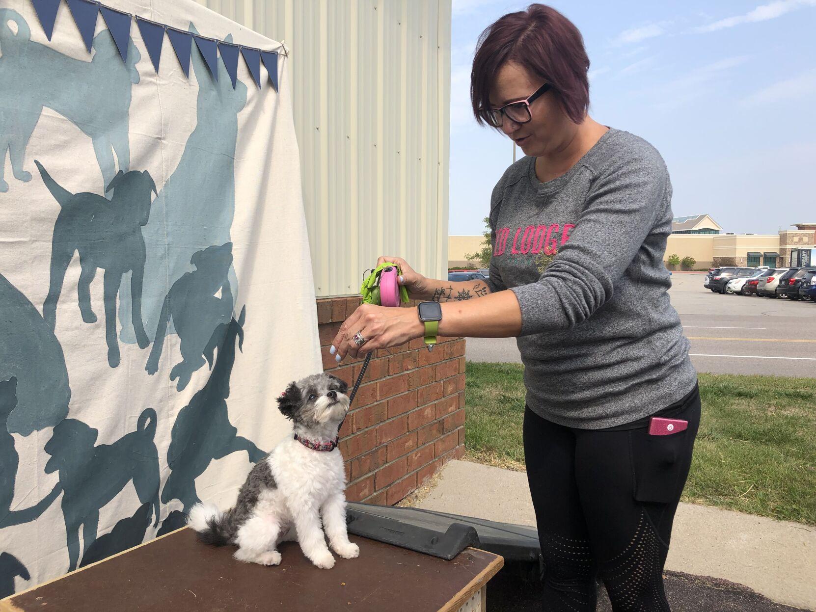 Puppy Palooza: Pooches, owners have day of fun at Pet Expo ...