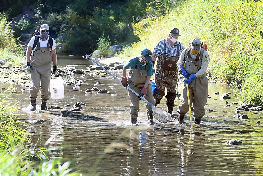 Small creek fishing 7/25/23