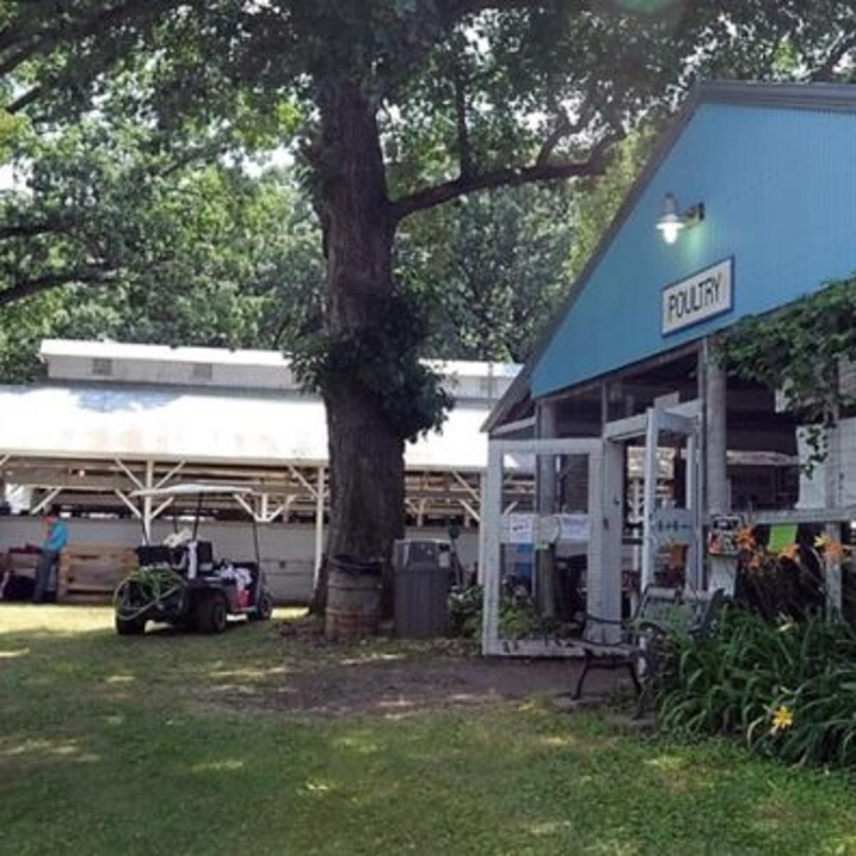 Blue Earth County Fair Cancels Most Events Local News Mankatofreepress Com Blue Earth County Fair Cancels Most Events Local News Mankatofreepress Com