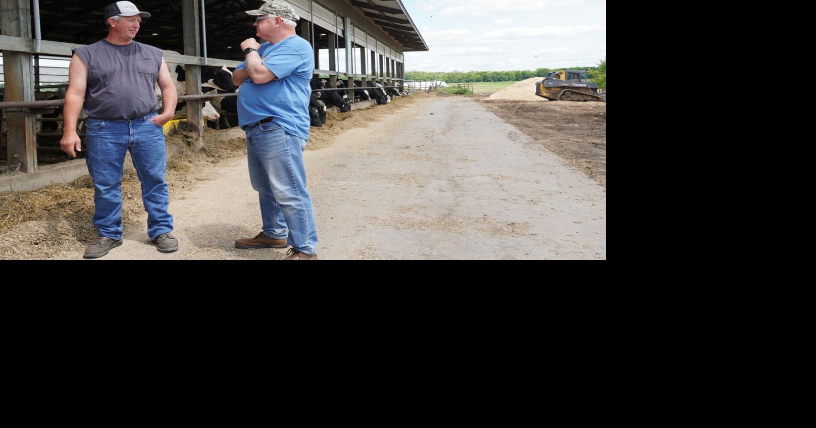 Walz visits one of dwindling numbers of MN dairy farms | Local News ...
