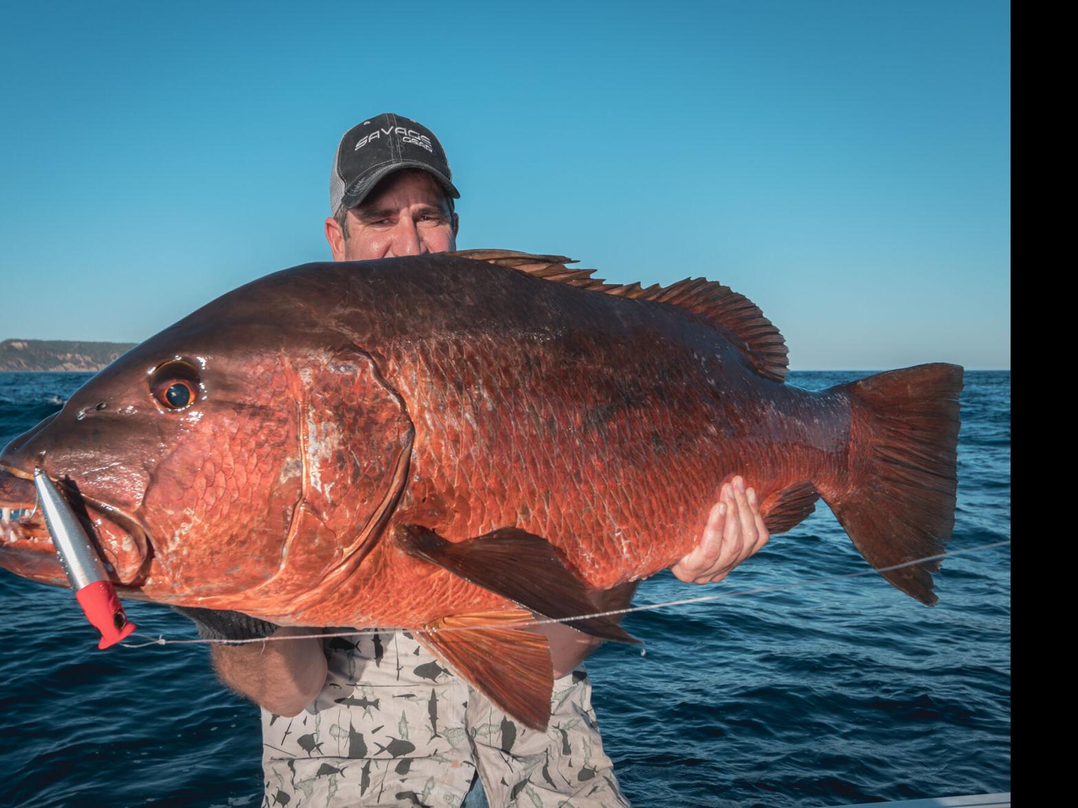 Mackenthun: Dream fishing trip only adds to desire to return ...