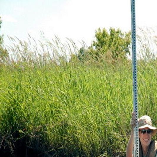 Storing water on landscape focus of improving Le Sueur River ...