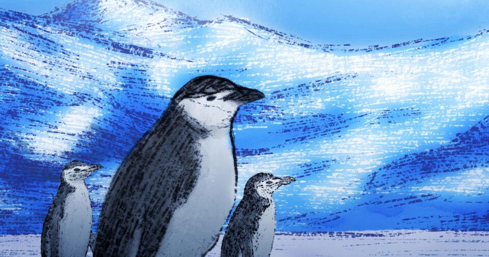 Some animals have evolved extreme ways to sleep in precarious environments