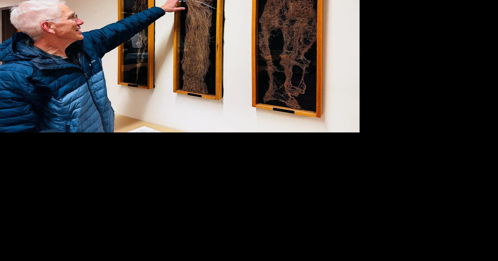 U of M study finds retired cropland has more carbon storage potential