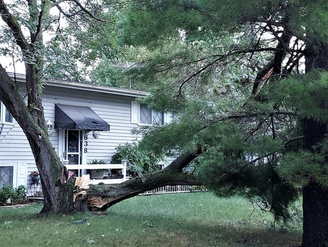 UPDATE Storm slams Mankato area; lots of tree damage reported after nearly 50 mph winds Local