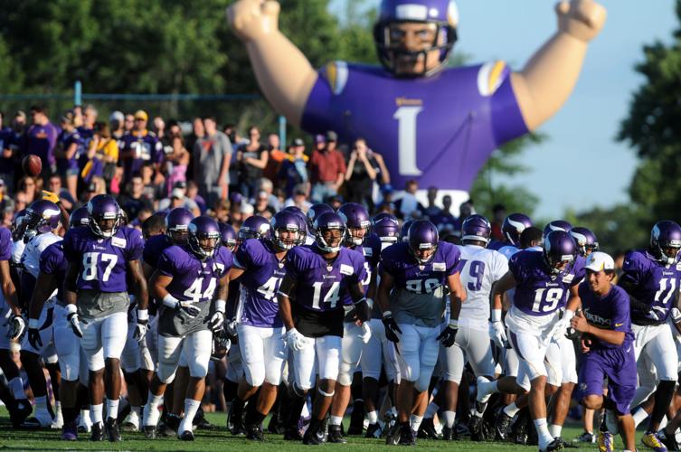 2013-Vikings cover