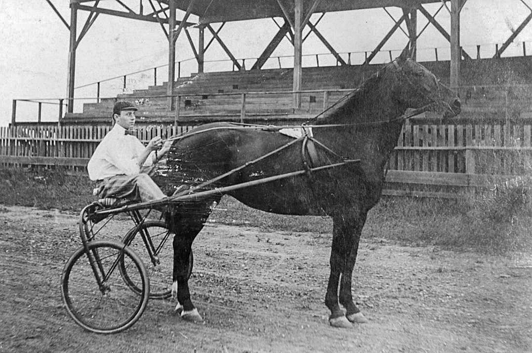 Horses played big part in county's history | Local News ...