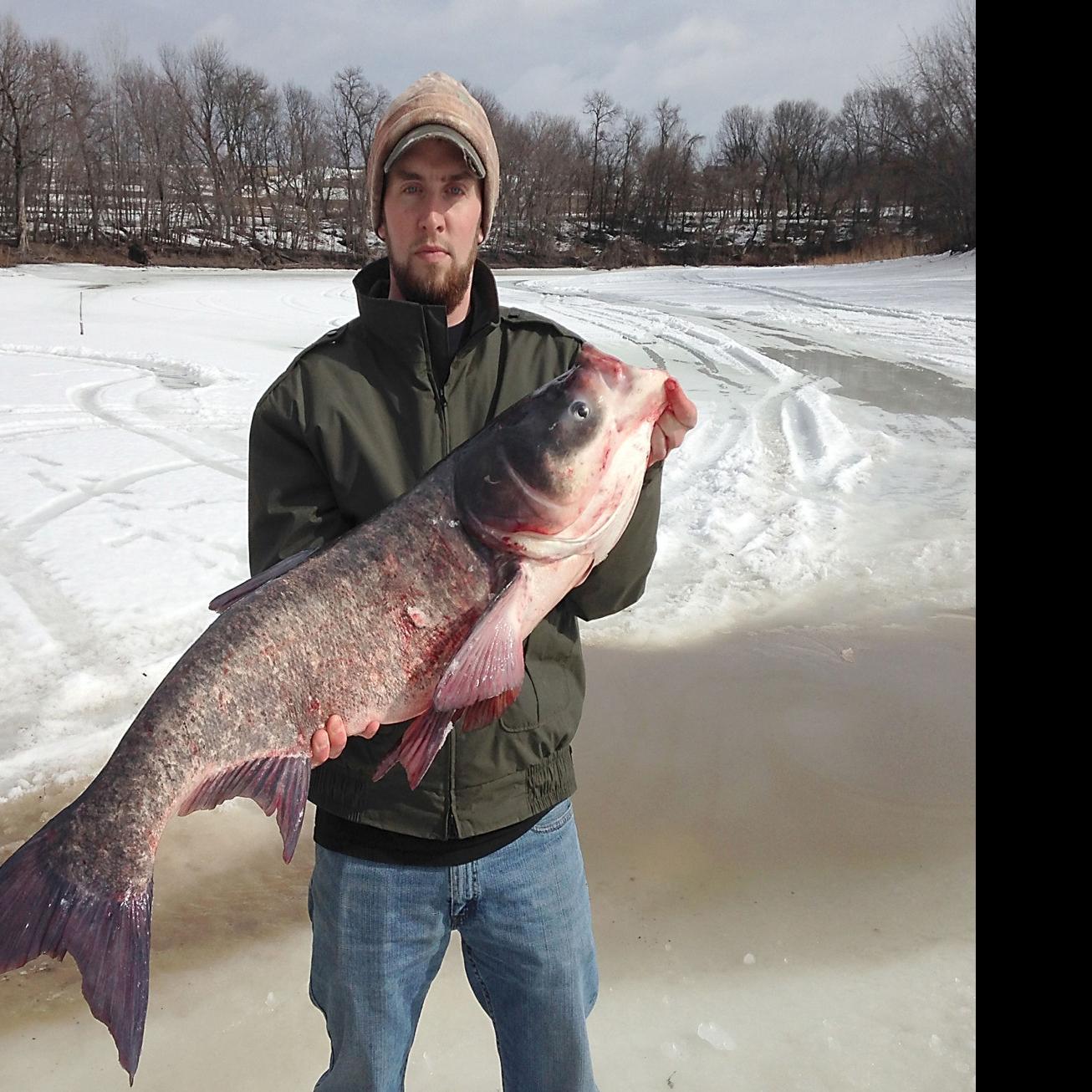 Invasive carp caught for first time in Minnesota River