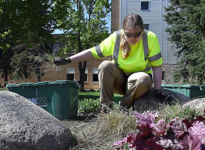 Cities rely on seasonal workers as summer approaches Local News
