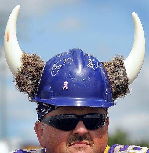 2013-Vikings fan