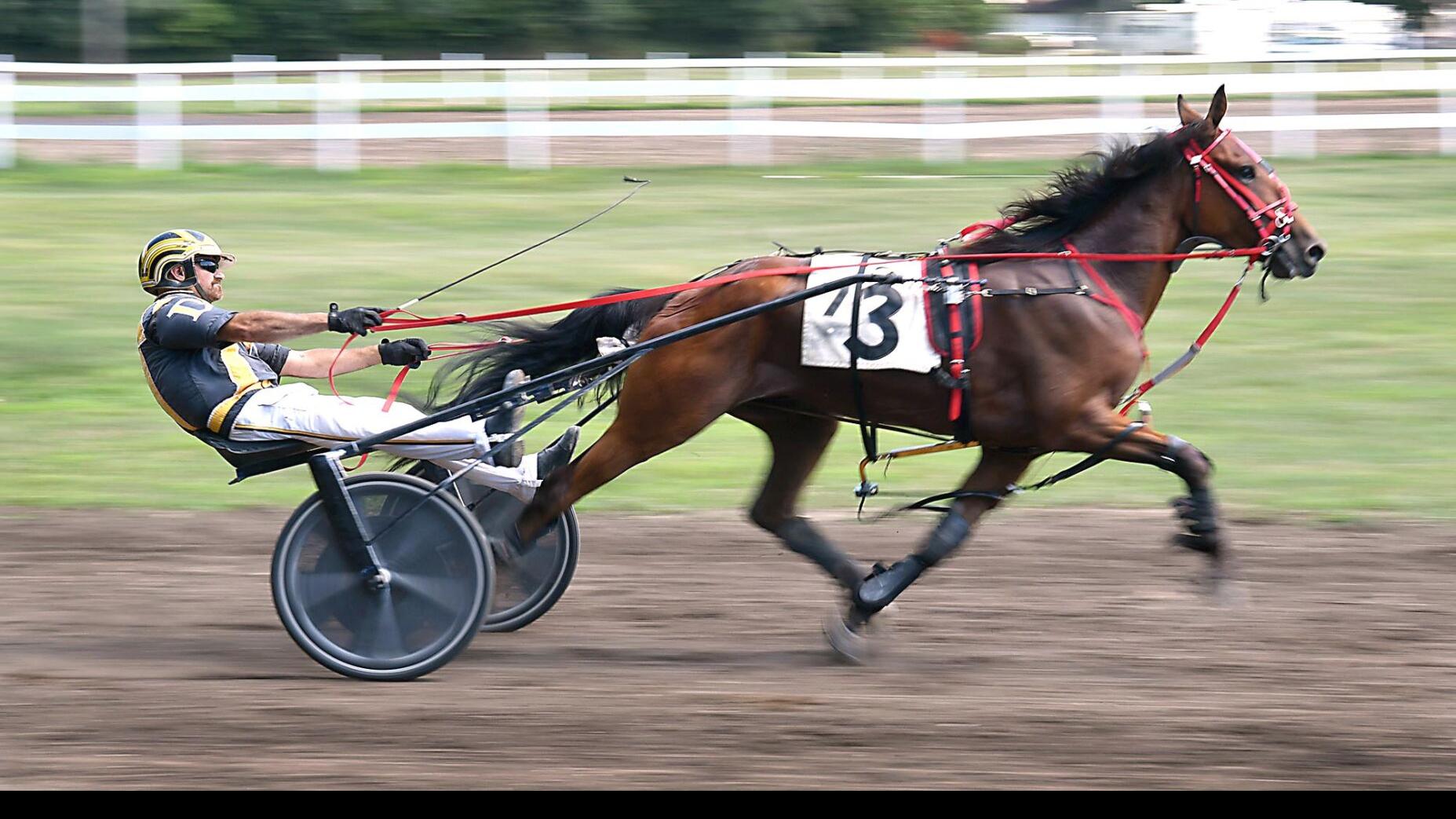 Harness racing rider in it for the long haul | News ...