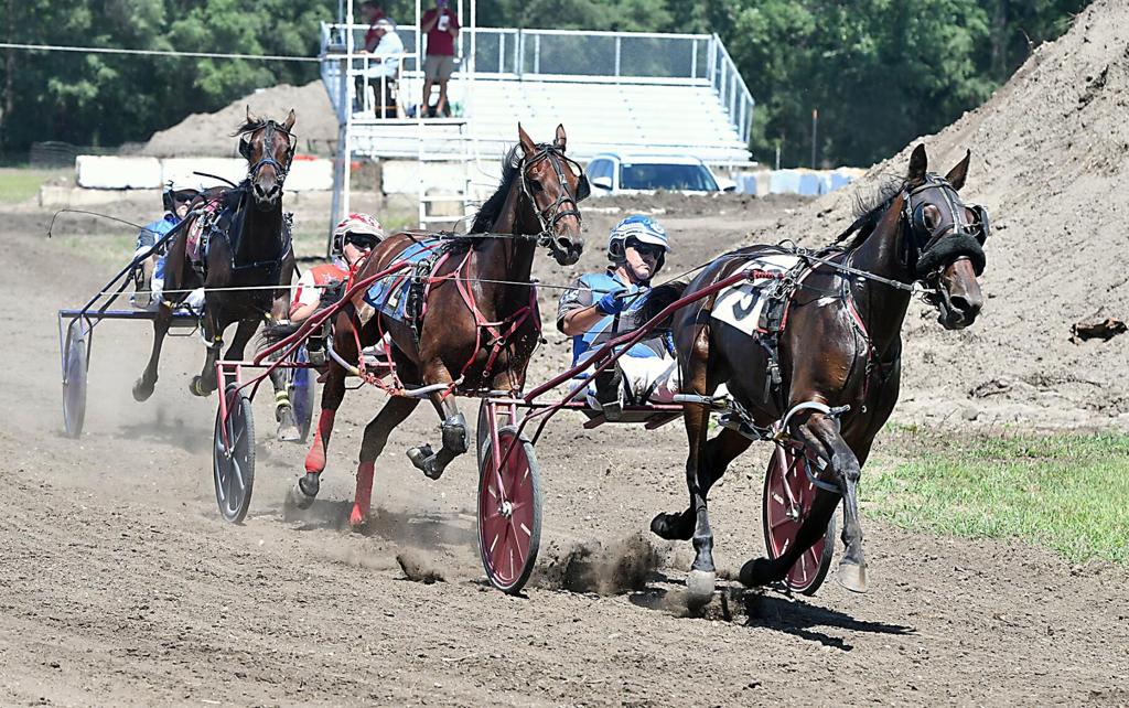 Harness racing rider in it for the long haul | News ...