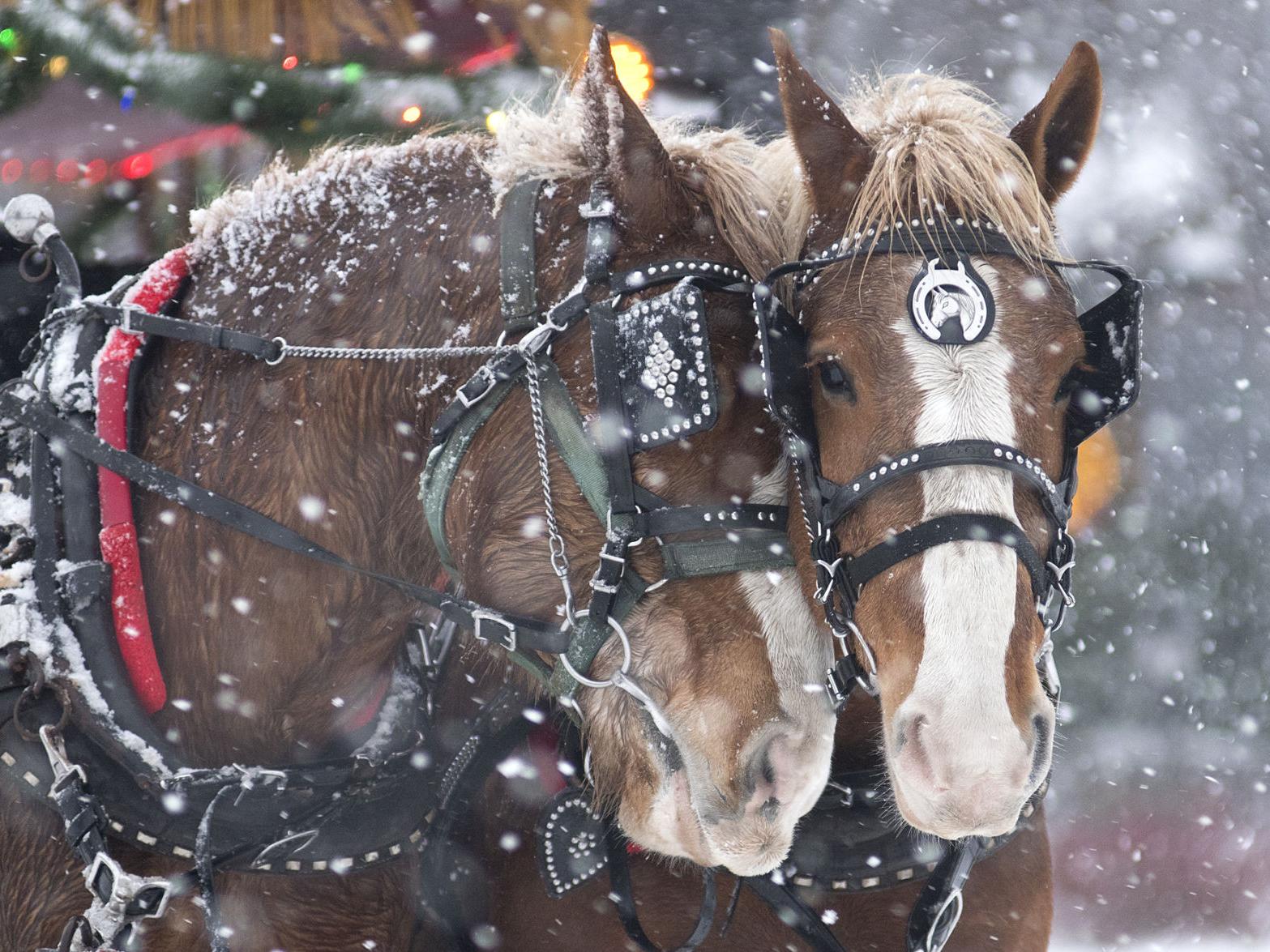 Bells on Belgrade returns Saturday | Local News ...