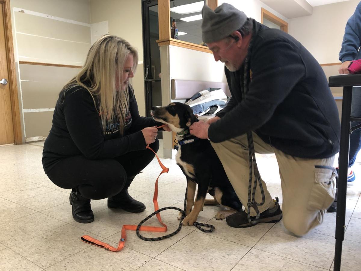Rescued Dogs Find Foster Homes For The Holidays Local News Mankatofreepress Com