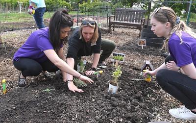 Dementia-friendly garden started at Good Counsel | Local News ...