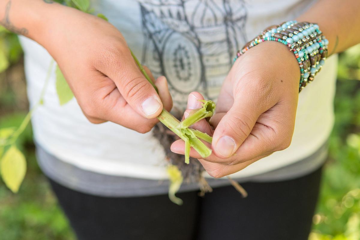 Native American entrepreneur expands the knowledge of Lakota culture