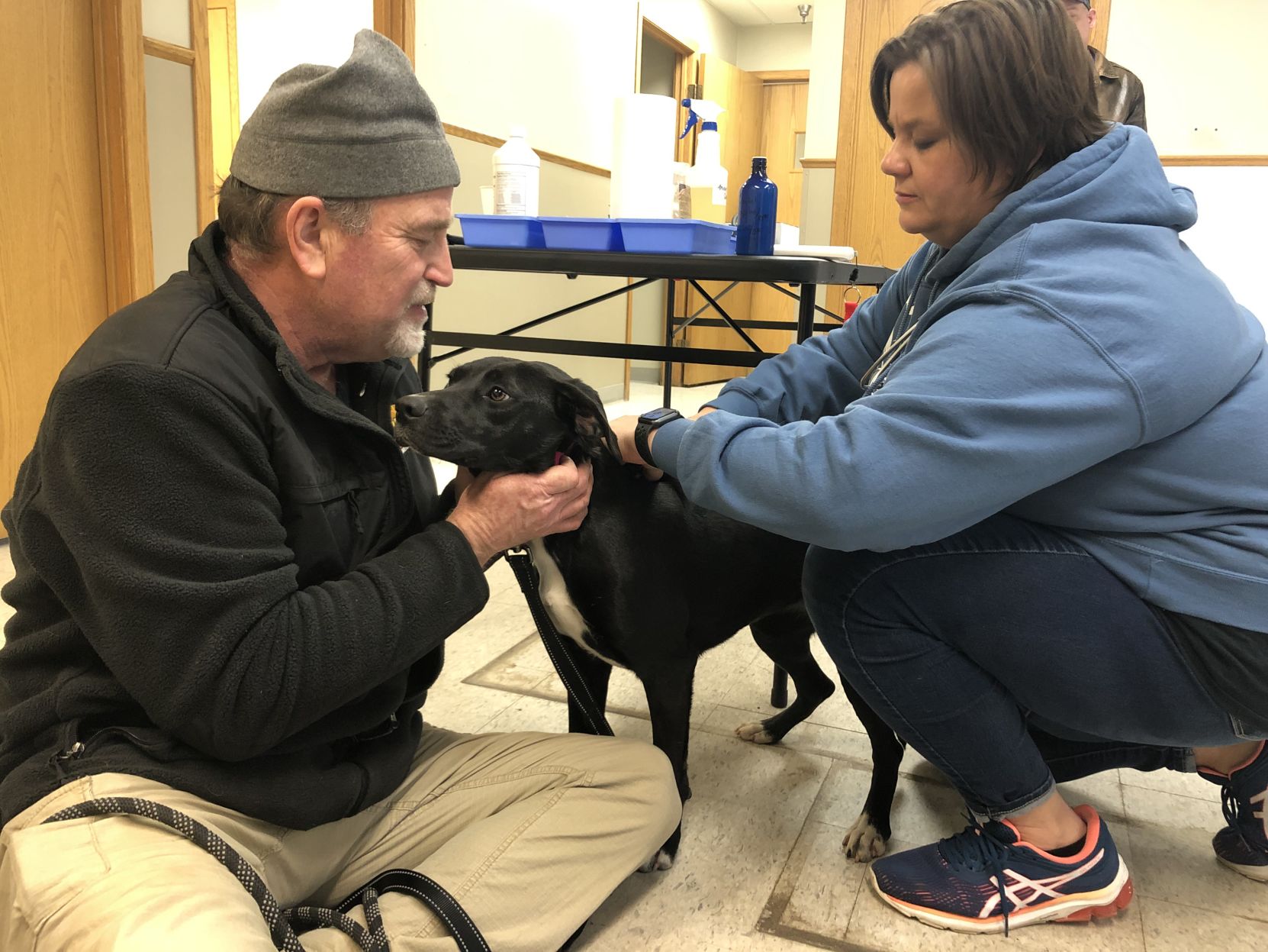 dogs that need foster homes near me