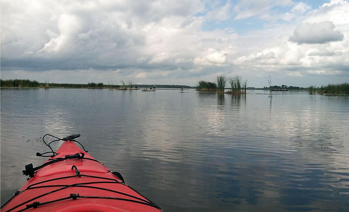 DNR mulls noboating zone on Swan Lake News