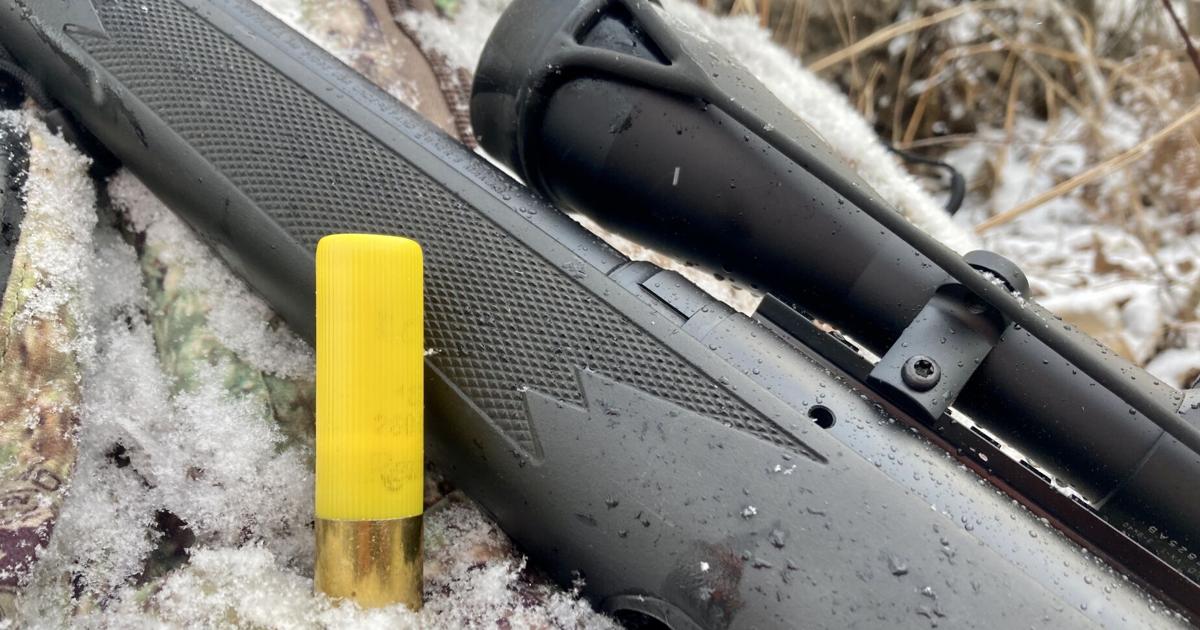 Cu Slug Heilman: Making the change to copper slugs has several layers | Local ...