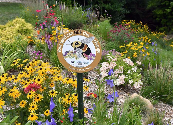 Ravine transformed into pollinator pathway | Local News |  mankatofreepress.com