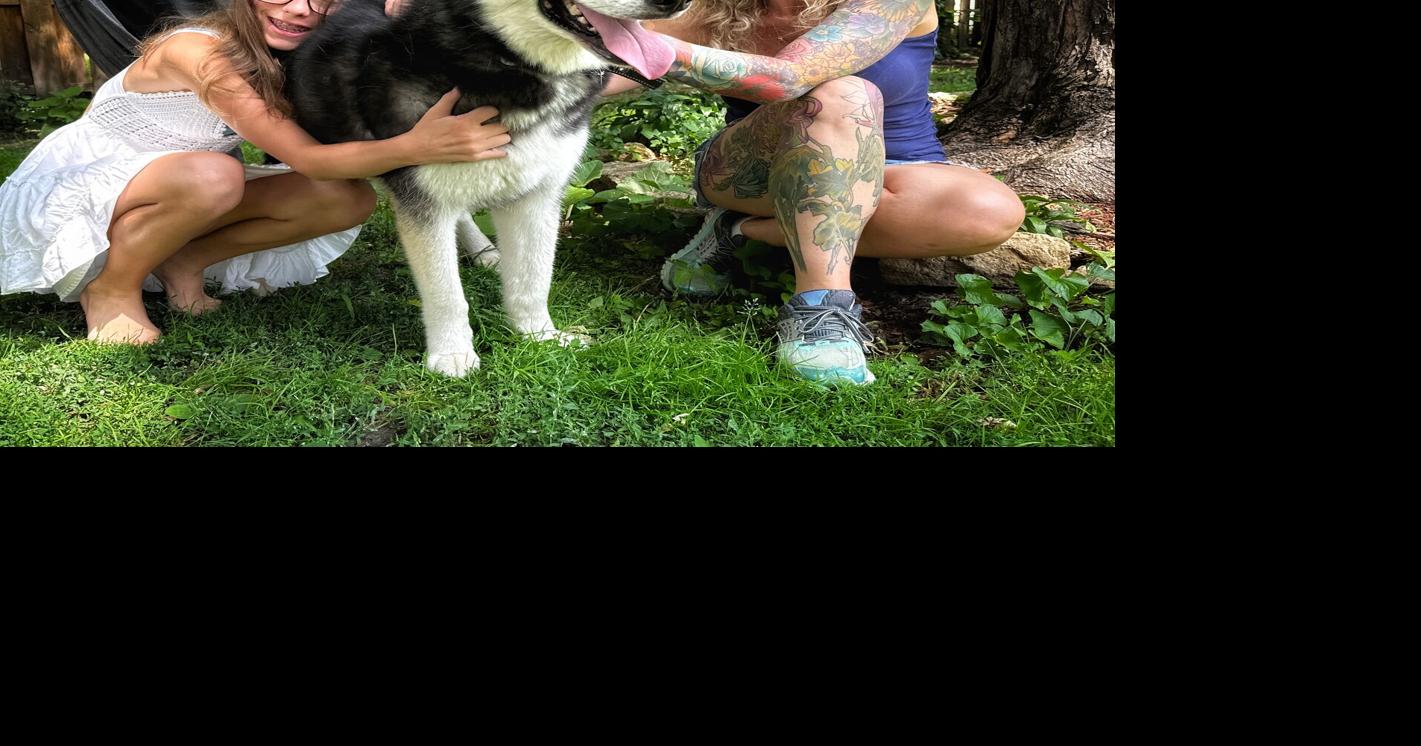 Day of celebration for humans is day of torture for some pets | Local ...