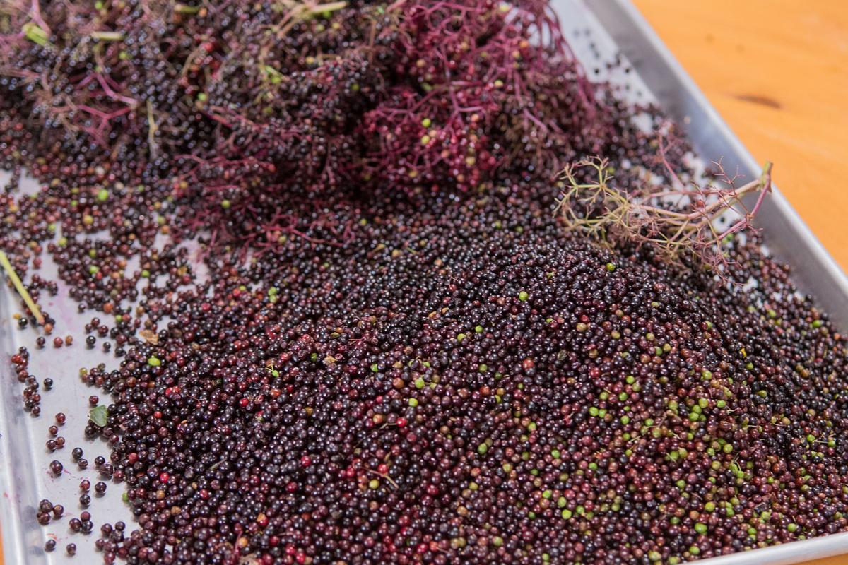 Native American entrepreneur expands the knowledge of Lakota culture