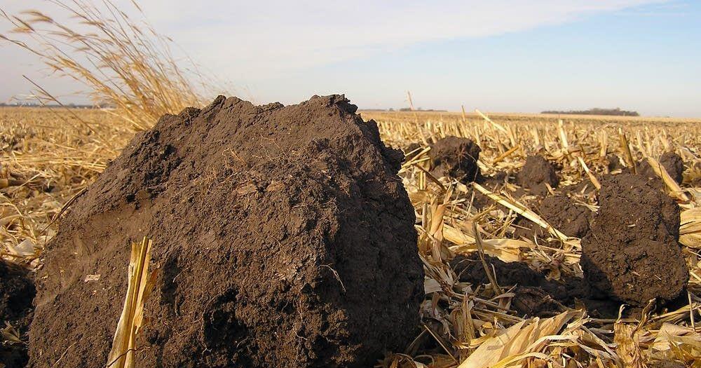 Some Minnesota farmers are on edge as drought conditions creep through ...
