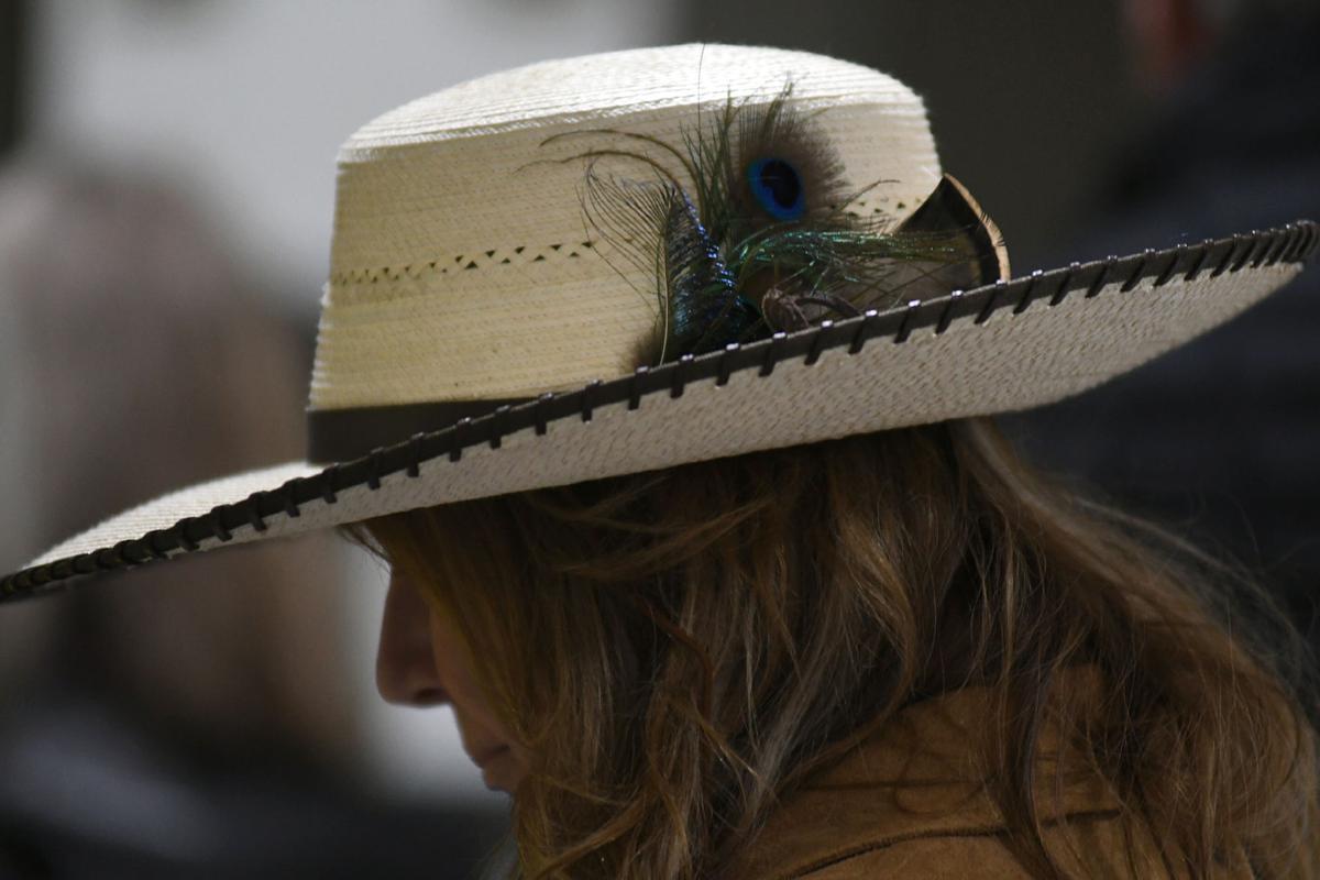 Tour From The North Country Thousands Flock To Bob Dylan Show Local News Mankatofreepress Com