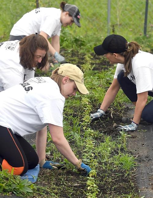 United Way Week of Action