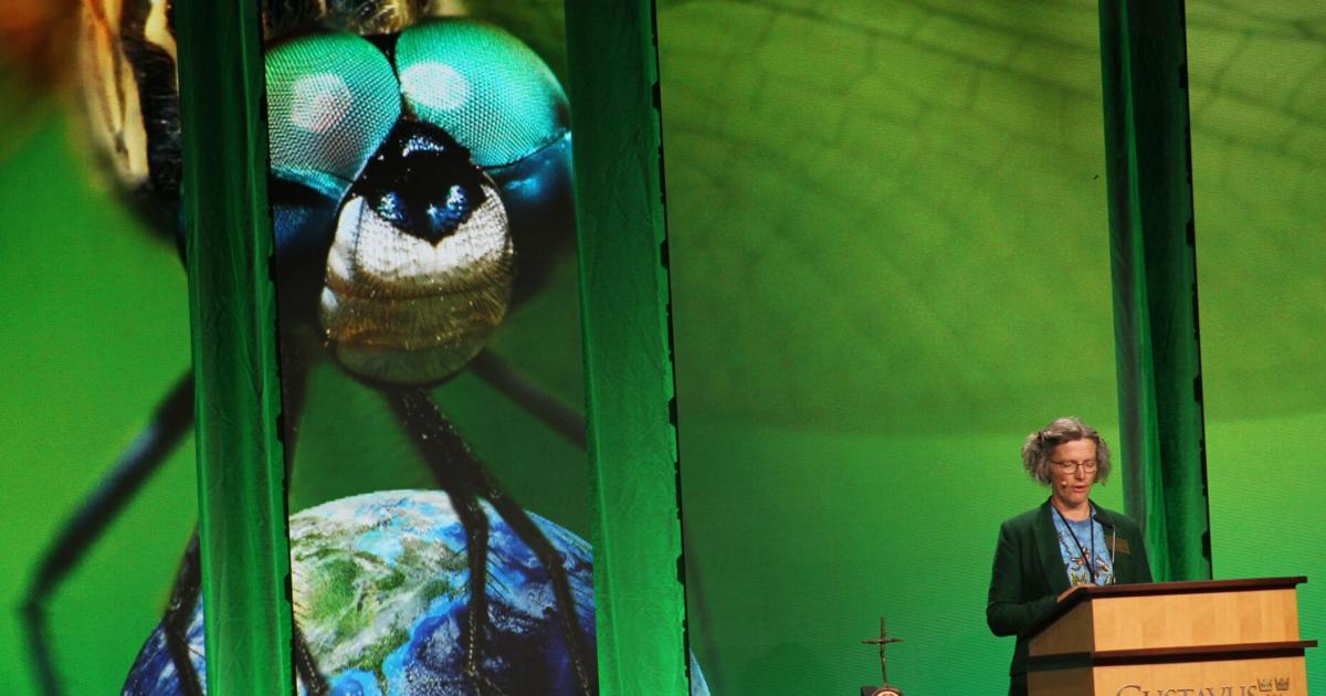 For love of insects: Nobel Conference notes importance to the ...