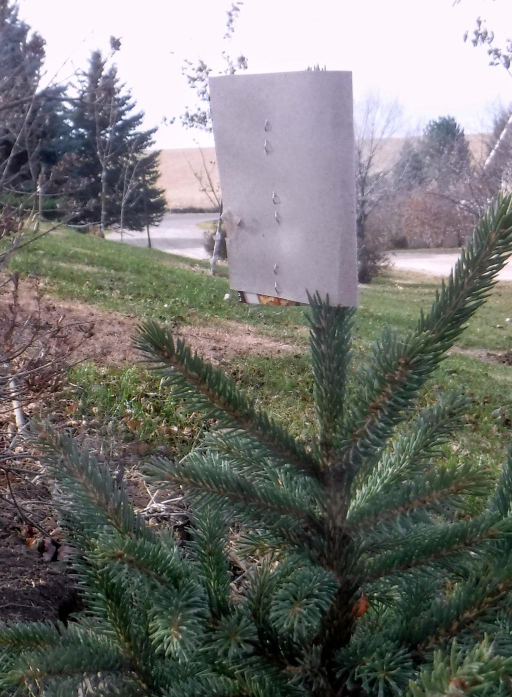 Protect your plants and trees from deer and rabbits ...