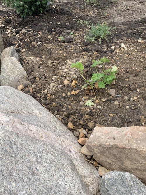 Flooding in nigeria 2019 pdf picture