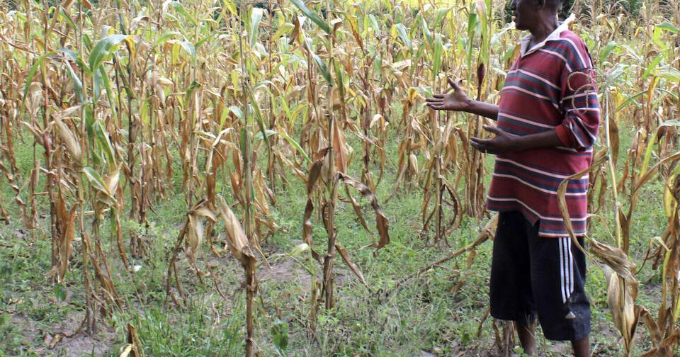 Kenya studies links between climate, mental health