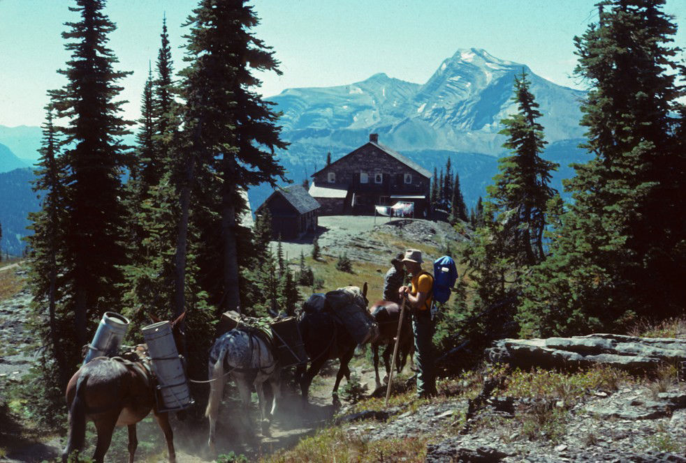 VIDEO The true story of two fatal grizzly bear attacks that