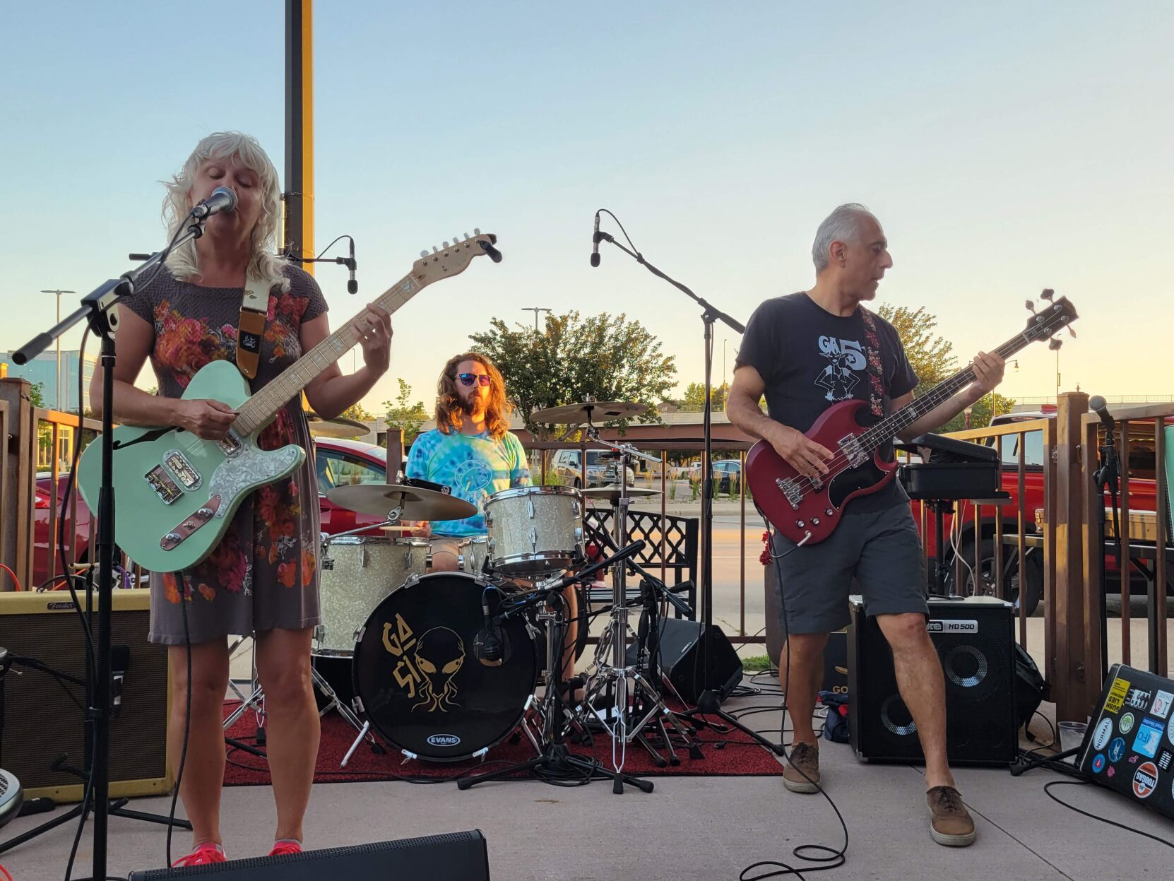 what happened to robin guitars