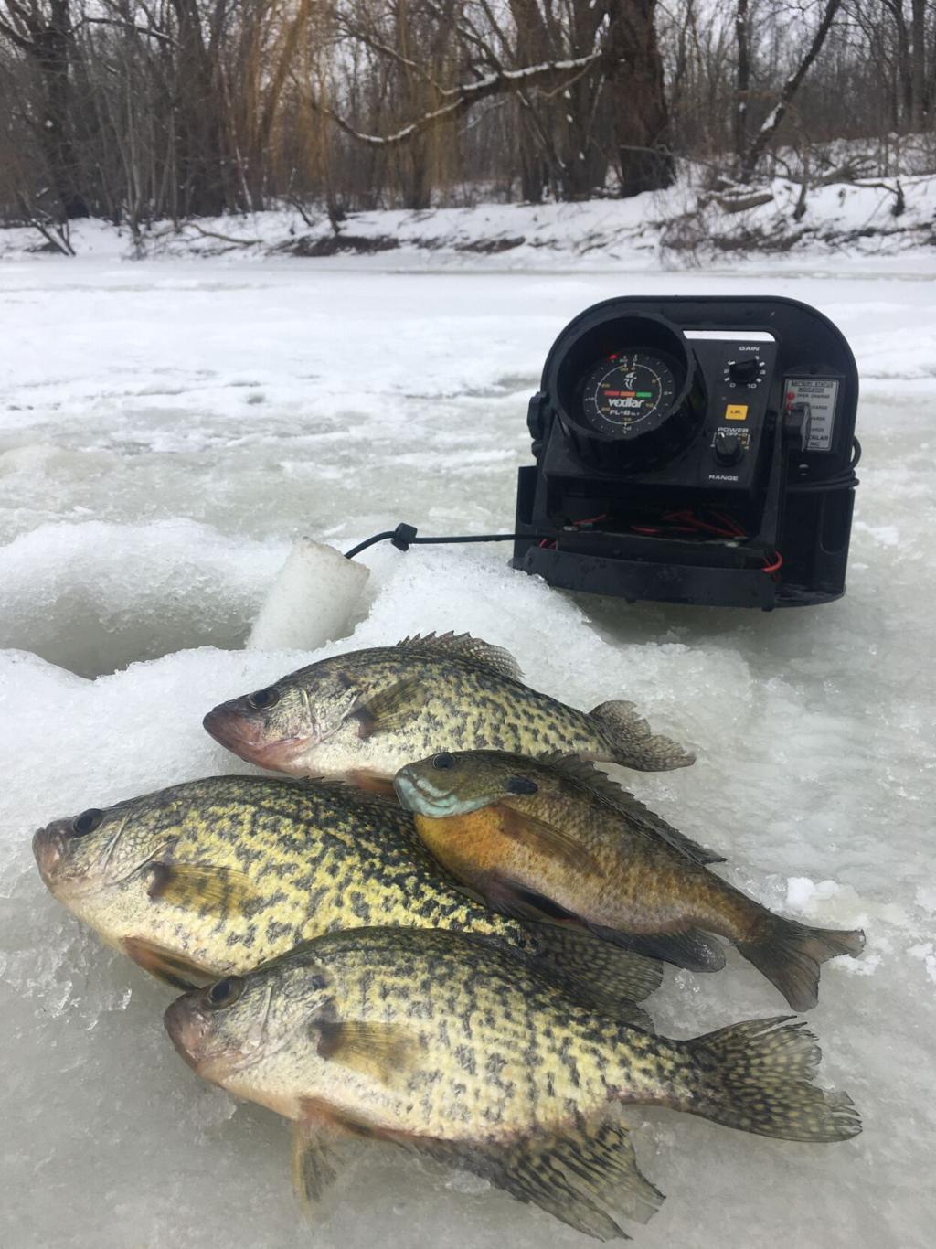 Pre-Ice Mississippi River Crappie and Perch, Cold Water Crappie and Perch  Fishing