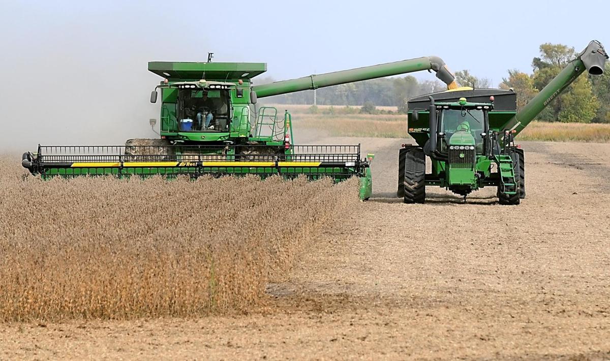 PHOTOS Soybean harvest under way Photos