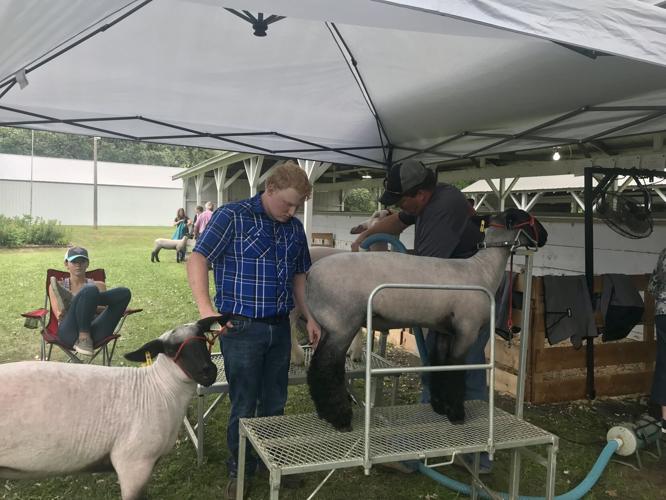 Blue Earth County Fair kicks off with 4H shows, lumberjack demos and
